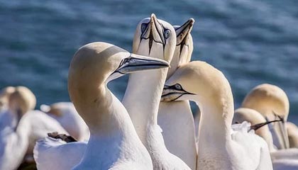 星空体育-北京国安主场观众热情高涨，北京国安 主场