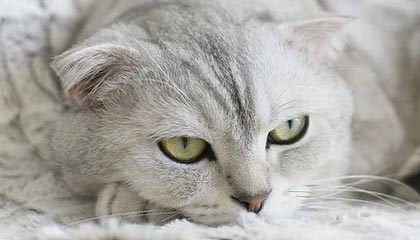 星空体育官网下载-建业客场挑战华夏幸福，力争客场取分，华夏路建业