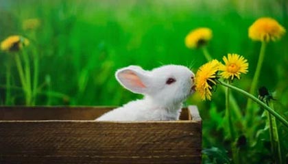 星空体育下载-体育新闻中心发布智慧场馆内容发布全景解决方案，体育场馆智慧化服务的体现